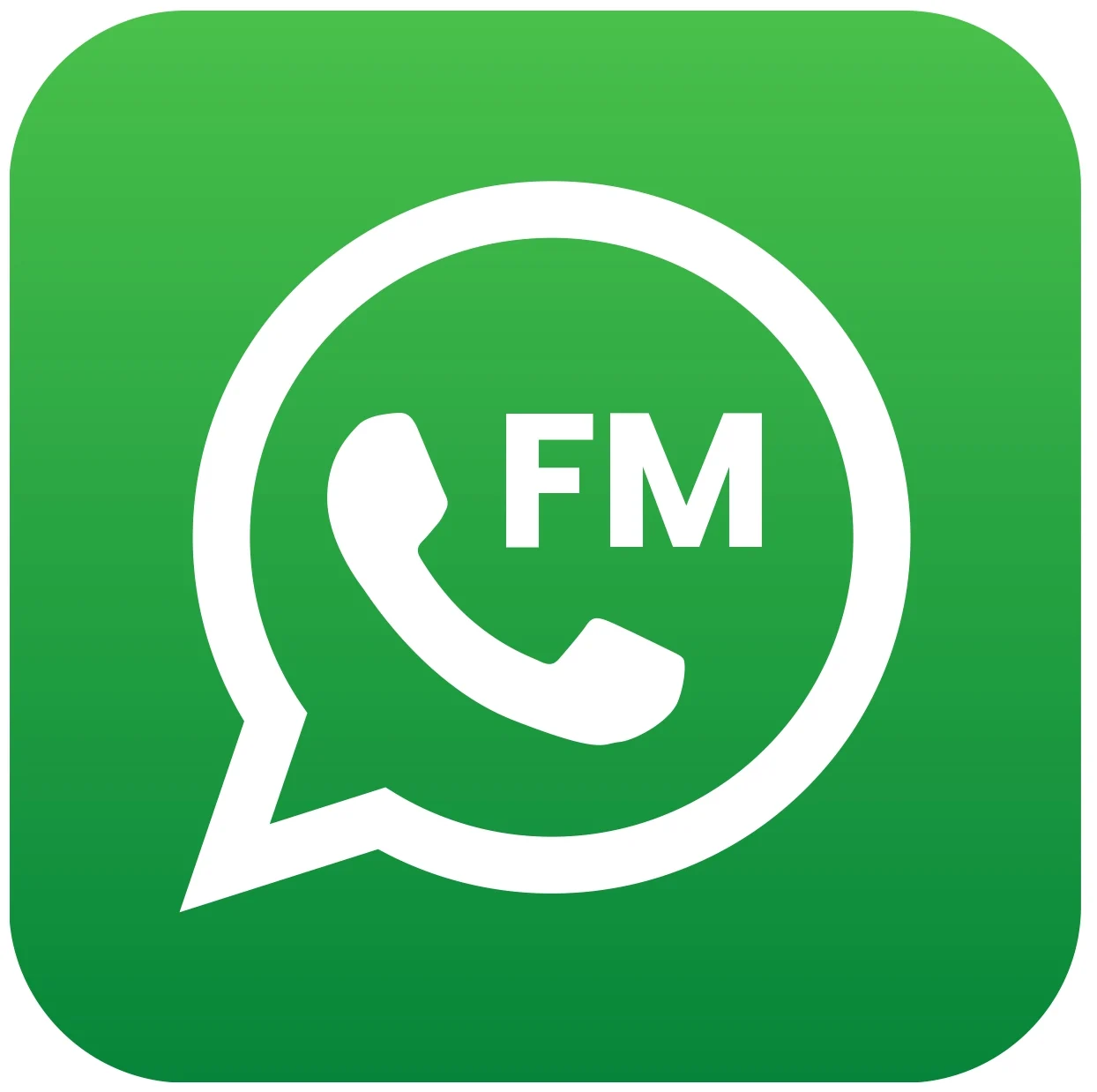 FM WhatsApp